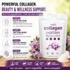 Multi Collagen Peptides Powder